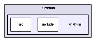 source/examples/extended/common/analysis